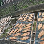 あじ一ひもの店 - 