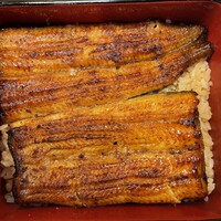 鰻割烹 伊豆栄 本店 - 