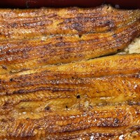 鰻割烹 伊豆栄 本店 - 
