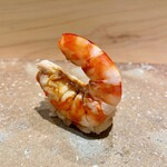 272775579 - 車海老　鯱鉾バージョン