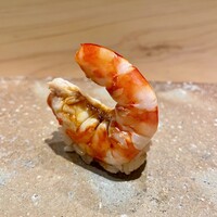 鮨まえだ - 車海老　鯱鉾バージョン