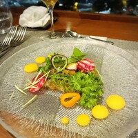 イリエスケープ - 