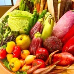 レフェルヴェソンス - 