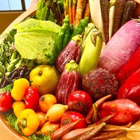 レフェルヴェソンス - 