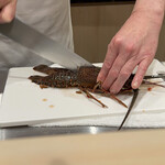 札幌 鮨 よこ田 - 伊勢海老を捌く！