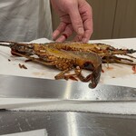 札幌 鮨 よこ田 - 伊勢海老