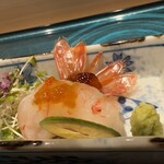 札幌 鮨 よこ田 - 北海道ボタン海老