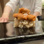 札幌 鮨 よこ田 - 昆布森のバフン雲丹