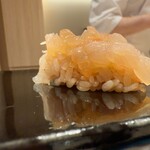 札幌 鮨 よこ田 - 伊勢海老