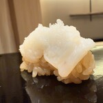 札幌 鮨 よこ田 - 噴火湾の水蛸