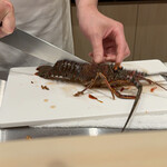 札幌 鮨 よこ田 - 伊勢海老