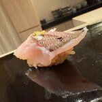 札幌 鮨 よこ田 - 千葉のカマス