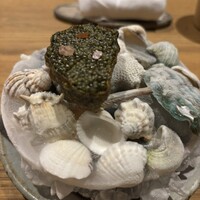 LURRA° - 
