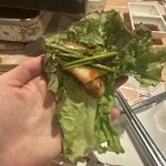 河南テジチッ - 