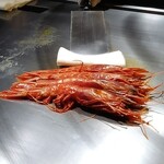 鉄板焼 石狩 - オマール海老より高級ななんとか海老♩笑