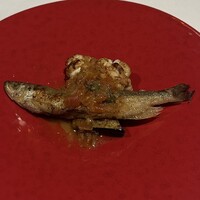 コントワール ミサゴ - 