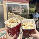 東京ディズニーシー ポップコーンワゴン - 
