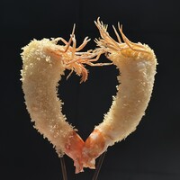 串揚げPyon - 