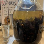 モツの朝立ち - 