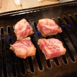 牛の助 肉之進 タンジロウ - 