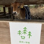 森林ノ牧場 那須 - 