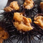 正立食堂 - ウニアップの図