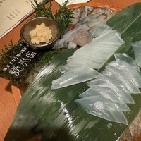 寅八商店 心斎橋店 -  寅八商店 心斎橋店 -