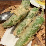 トラットリア ・チャオロ - 