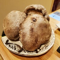 MITARI - 
