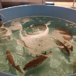 泉州漁港食堂 きくのや - 