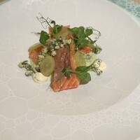 SCALAE - 