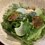 hape - 18種類の野菜サラダ