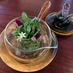 hape - 野草ハーブティ