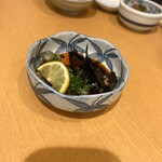 すし亭 - なまこ