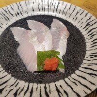 名駅 鉄板焼き 森本Ｘ Premium - 