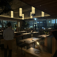 BLUE YARD - 
