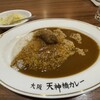 大阪 天神橋カレー