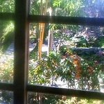 古里庵 - 店内より外を撮影