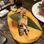 目からうろこ - 