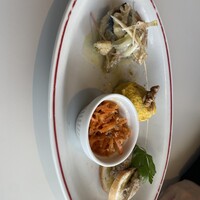 CODA ROSSA -  CODA ROSSA -