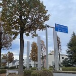 南房総 やまと寿司 - 西大通りの街路樹はユリの木。何故これが選ばれたのか？