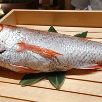 のどぐろ専門 銀座中俣 極 - のどぐろ