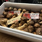 いんぼすこ 神宮前 - 