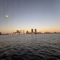 シンフォニー東京湾クルーズ - 