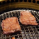 SATOブリアン七番 - 