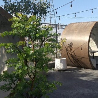 マシゴモッタ_2