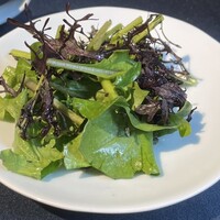 セルサルサーレ - 