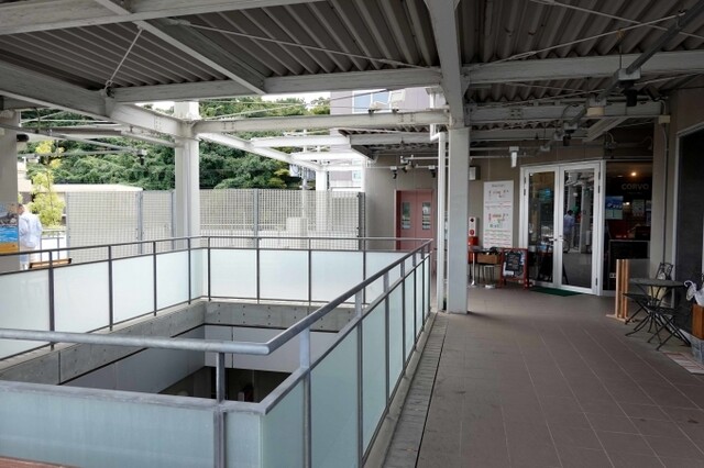 ｙamabuki（ヤマブキ） - 南気仙沼（カレー）の写真