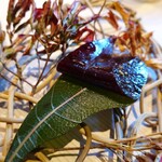 エースホテル京都 - ハスカップレザー