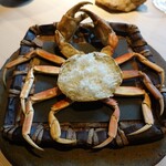 エースホテル京都 - 蟹のジェル